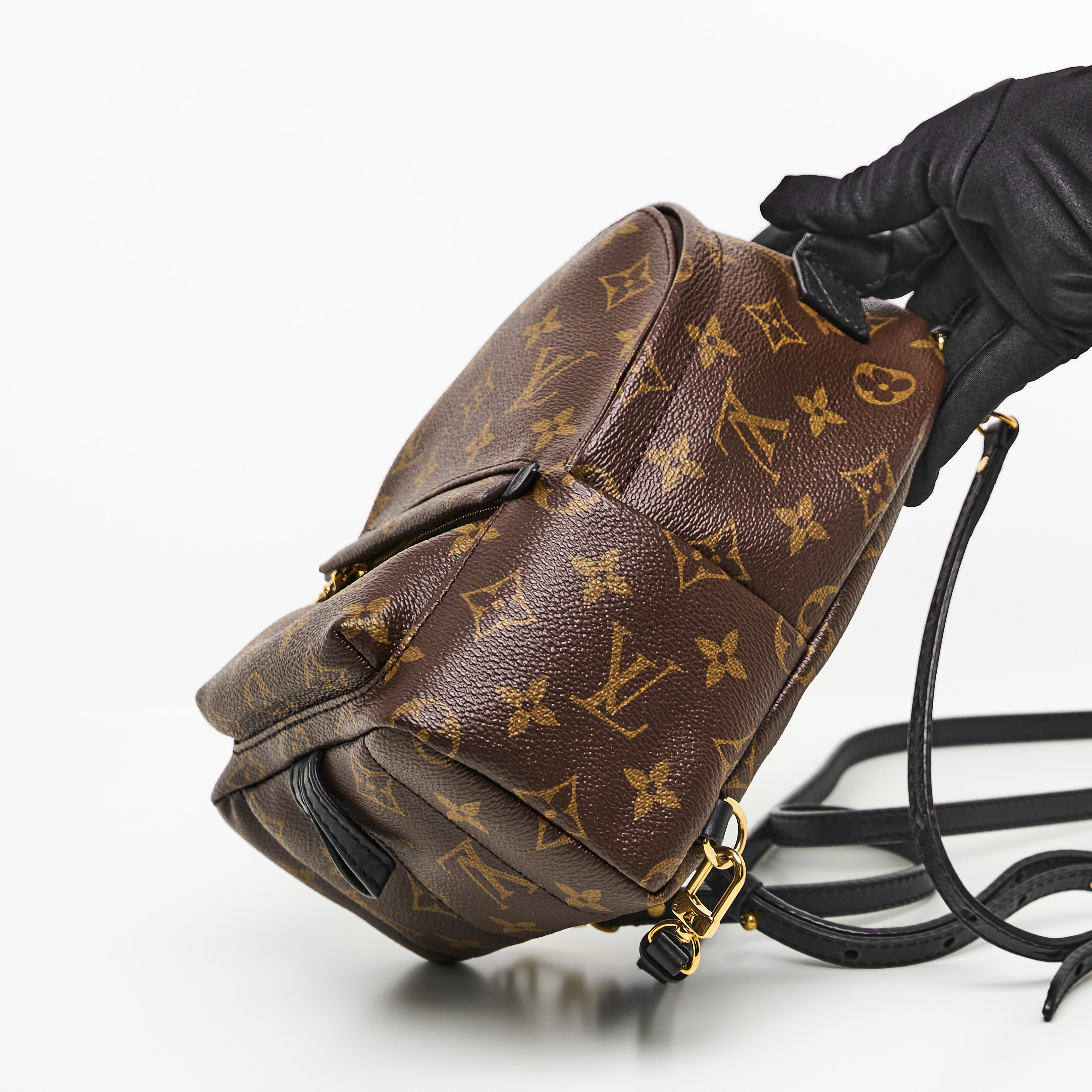 LV Mini Palm Springs Backpack