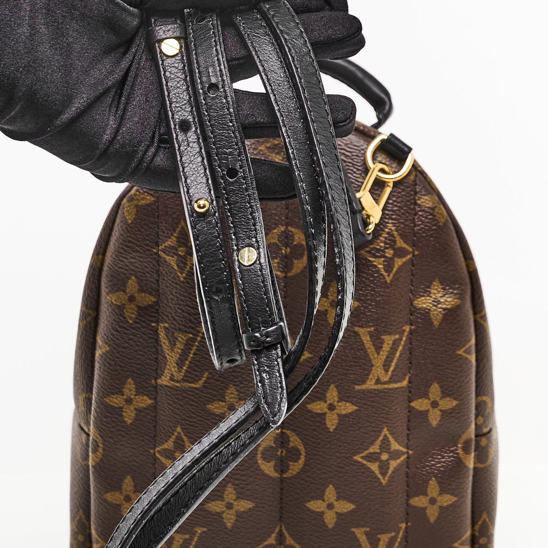 LV Mini Palm Springs Backpack