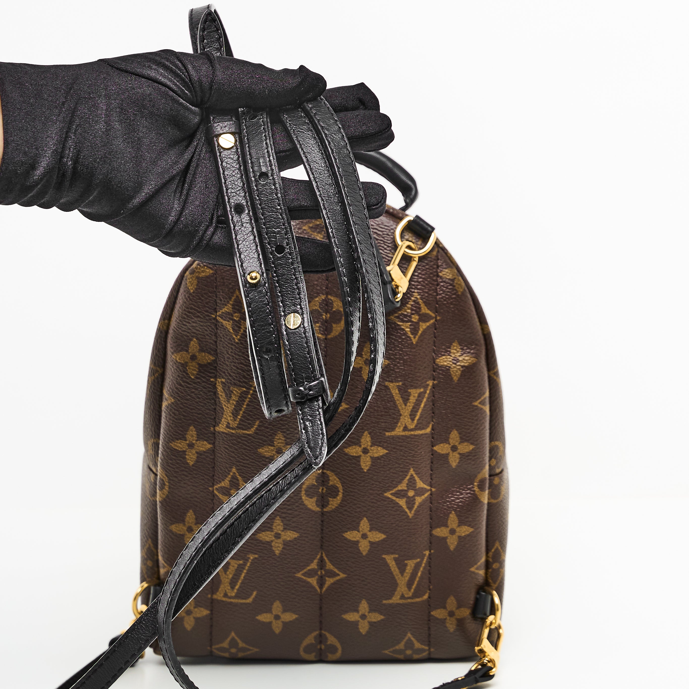 LV Mini Palm Springs Backpack