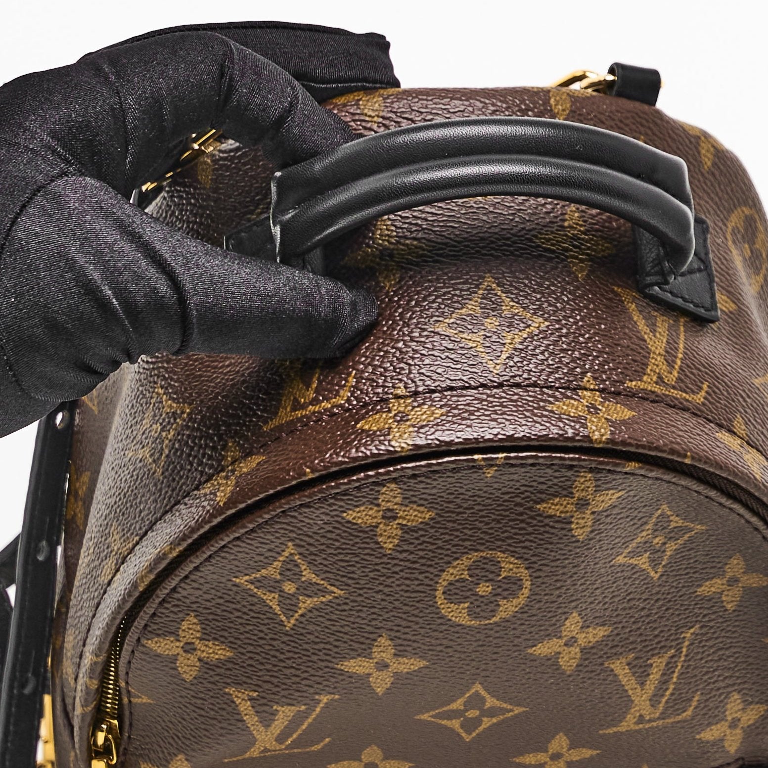 LV Mini Palm Springs Backpack