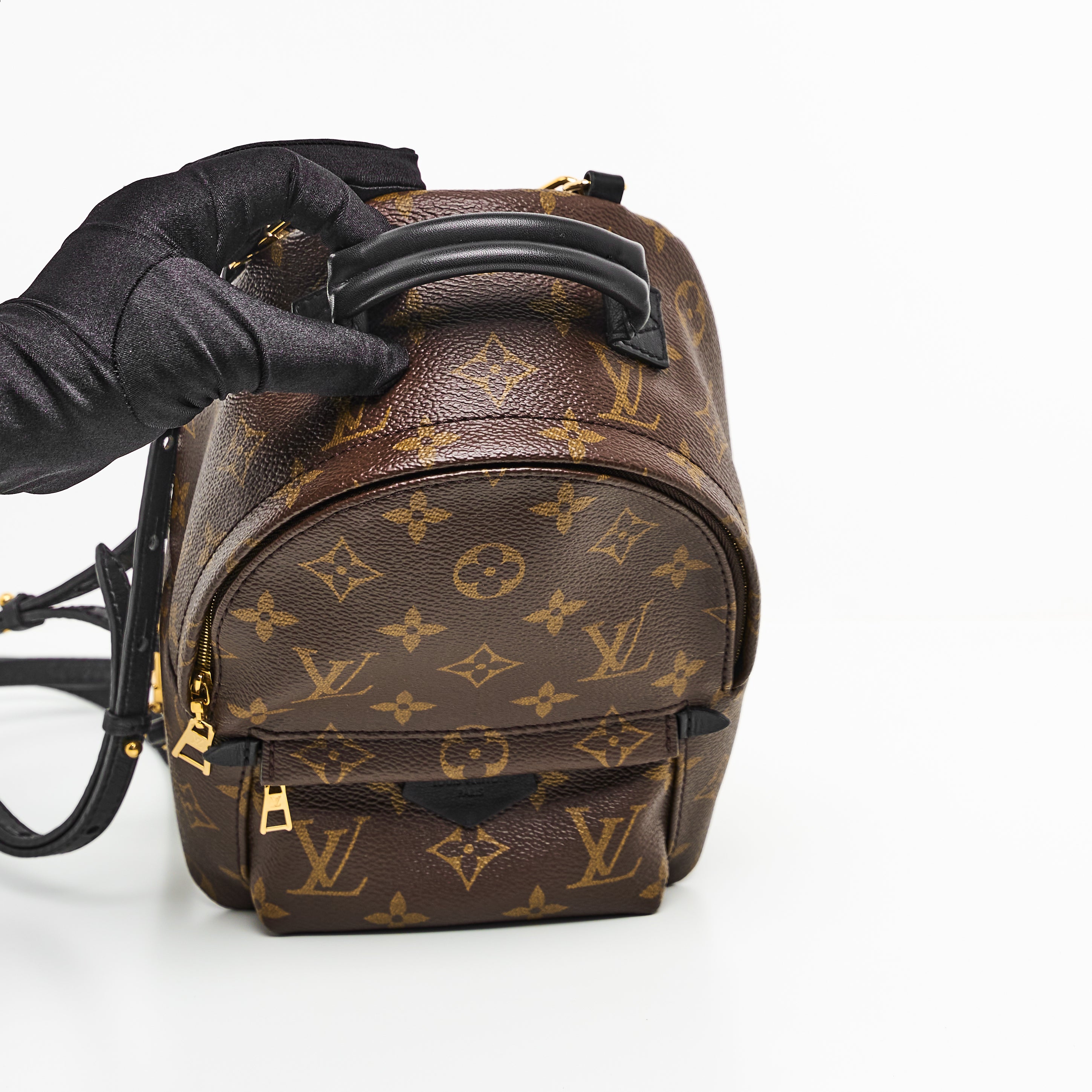 LV Mini Palm Springs Backpack